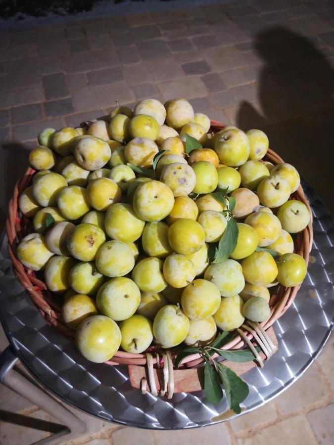 Le Dimore Di Mama Ceglie Messapica Exterior foto